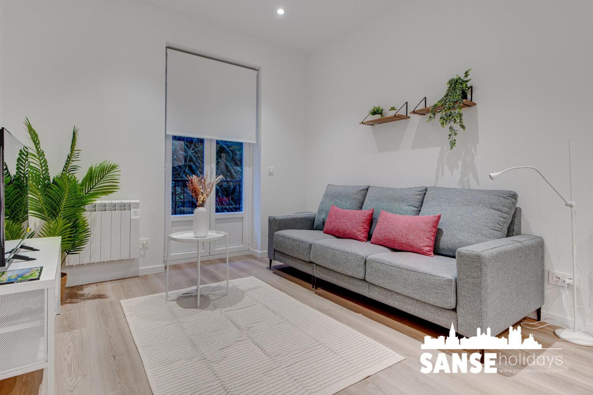 Salud By Sanse Holidays Apartment San Sebastian